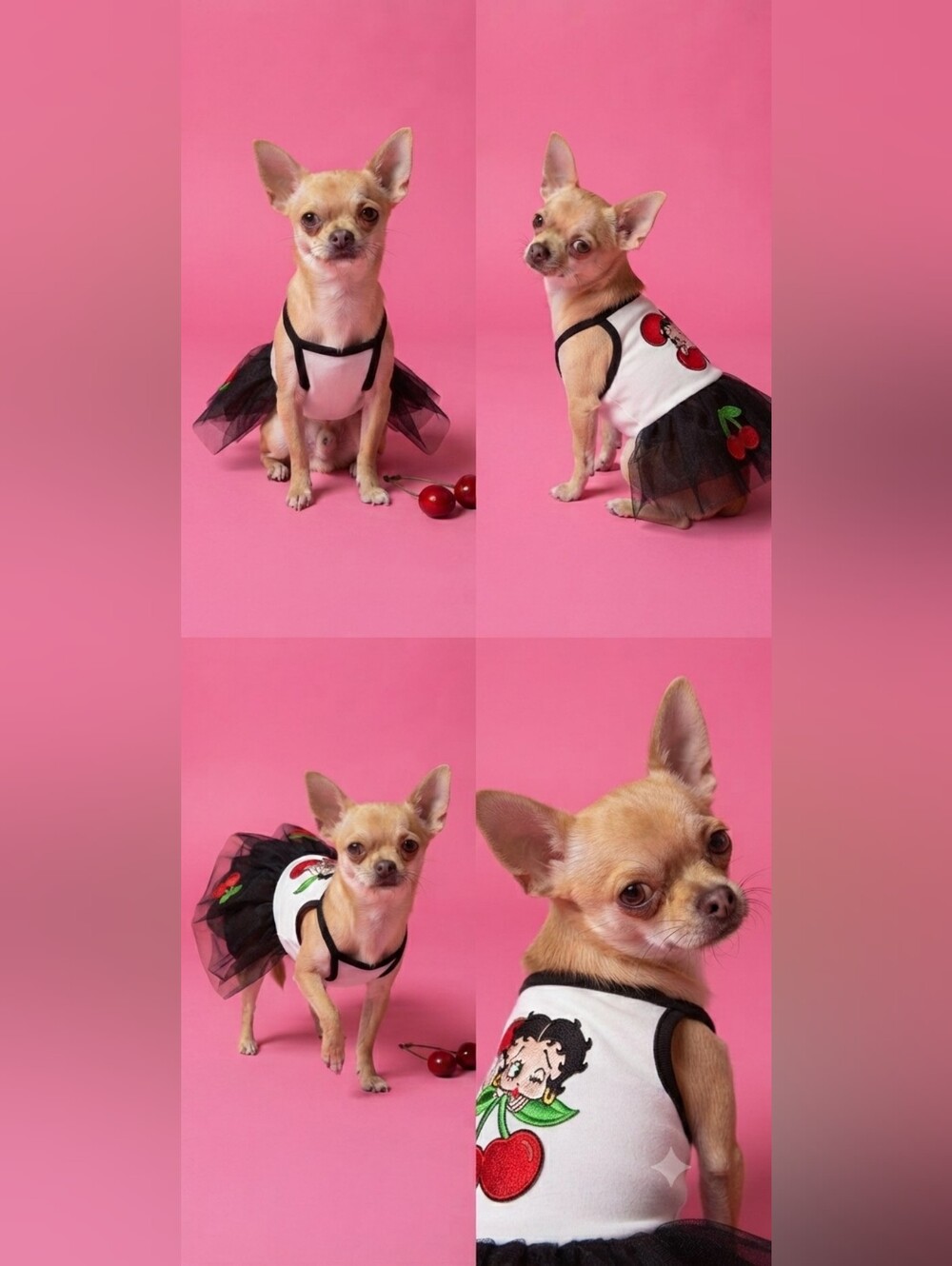 Betty Boop Black Tulle Cherry Dress with White Bodice